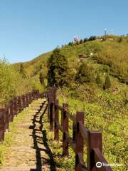 二延平山歩道