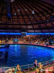 ハルダーヴァイク・イルカ水族館