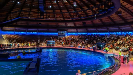 ハルダーヴァイク・イルカ水族館