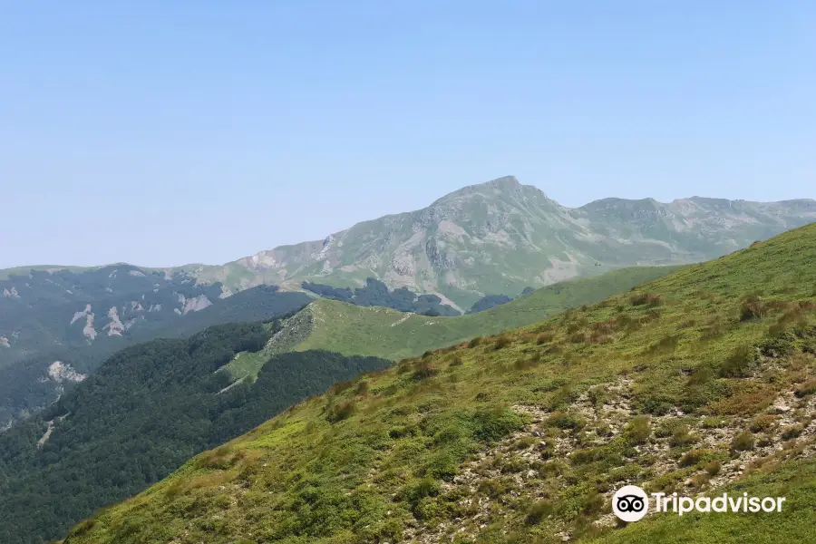 Passo di Pradarena