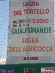 Sagra Del Tortello E Della Albicocca