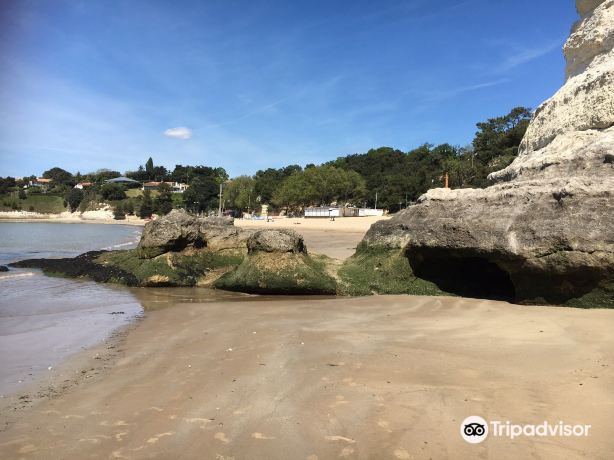 Plage Des Nonnes