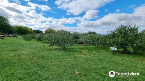 Blackman Homestead Farm