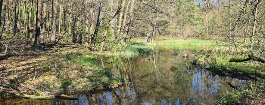 Uroczysko Belfont