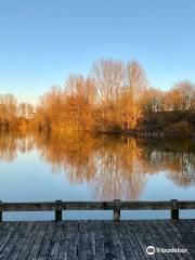 Ryton Pools Country Park