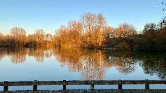 Ryton Pools Country Park