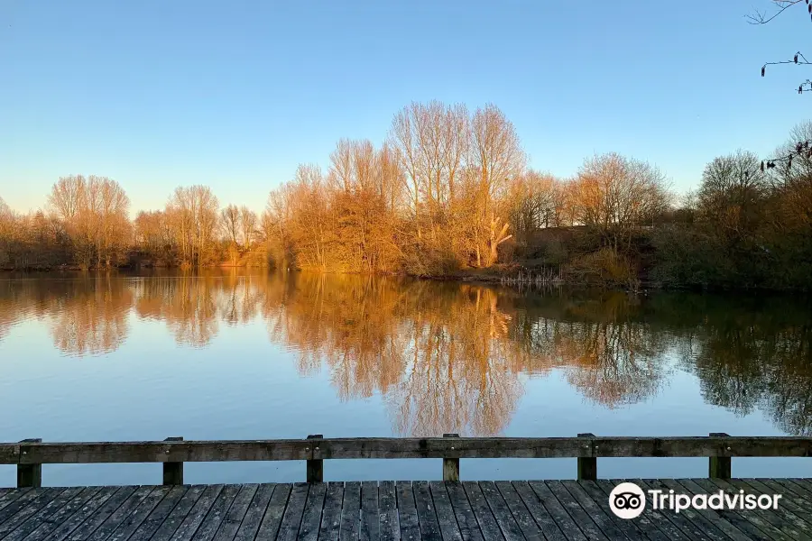 Ryton Pools Country Park