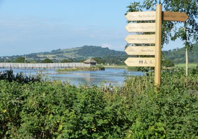 Seaton Wetlands Nature Reserve