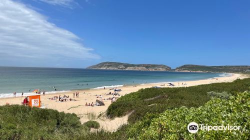 Sanctuary Beach, Plettenberg Bay