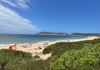 Sanctuary Beach, Plettenberg Bay