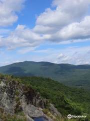 Rattlesnake Mountain