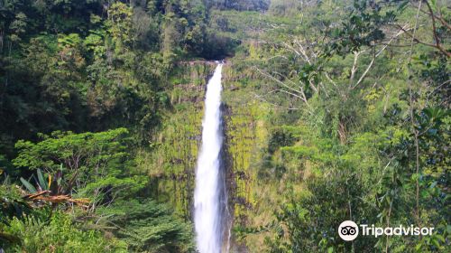 Akaka Falls State Park