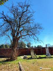 Cimetière de Magnolia