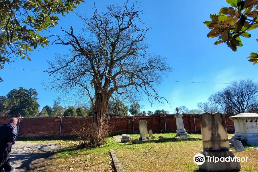 Magnolia Cemetery