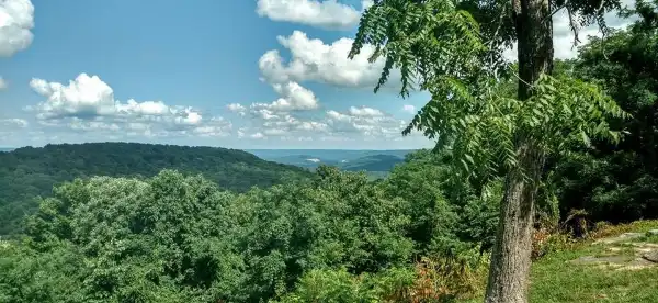 Clarion properties in Madison County