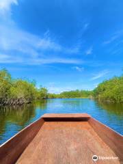 Skunk Ape Research Center