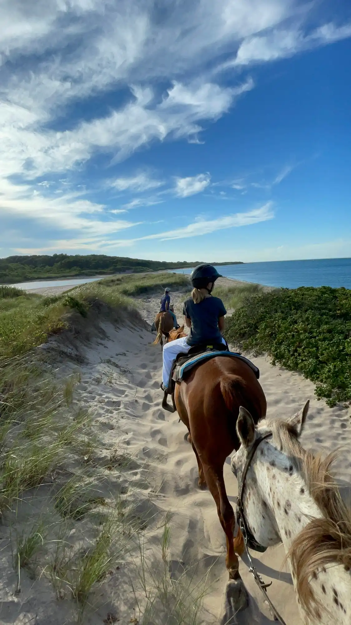 Hotels near Deep Hollow Ranch