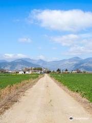 Azienda Agricola Casabianca