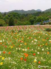 Kozan Lavender no Oka Kurose Farm