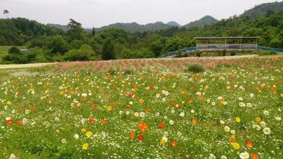 香山ラベンダーの丘 黒瀬農園