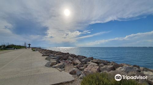 Port Camargue