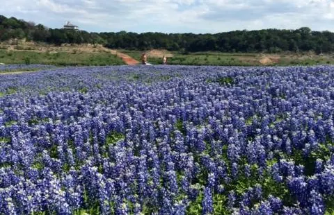 Muleshoe Bend Recreation Area