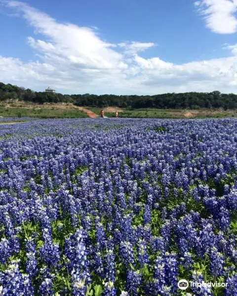 Muleshoe Bend Recreation Area