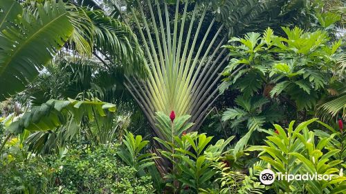 Maire Nui Botanical Gardens