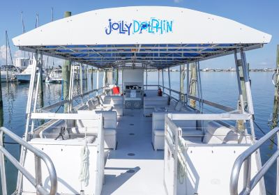 Jolly Sailing & Dolphin Cruise