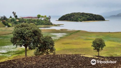 Laguna De La Cocha