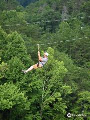 The Dome Ziplines