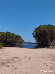 Spiaggia di Punta Molara