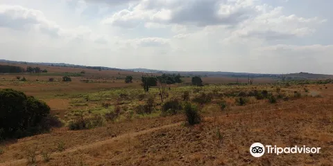 Rietfontein Nature Reserve