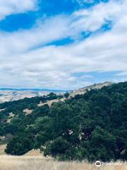 Santa Teresa County Park