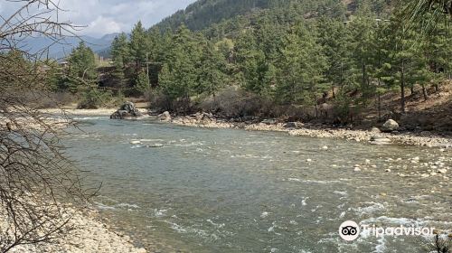 Paro River