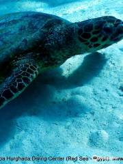 Scuba Hurghada Diving Center