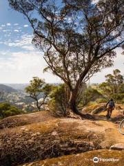 Blue Derby Mountain Bike Trails