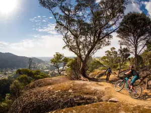 Blue Derby Mountain Bike Trails