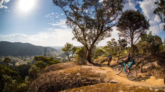 Blue Derby Mountain Bike Trails