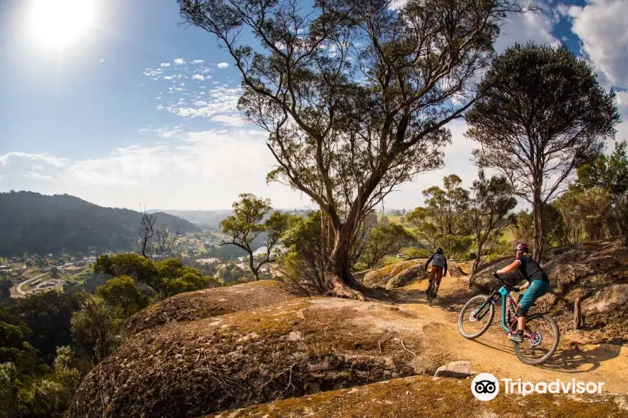 Blue Derby Mountain Bike Trails