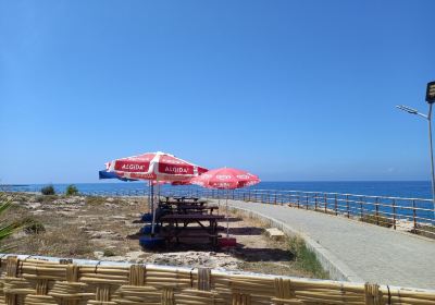 Lapithos