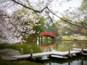 Memphis Botanic Garden