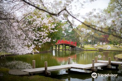 Memphis Botanic Garden