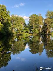 Stanmore Country Park, London