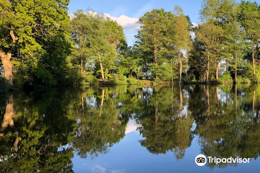 Stanmore Country Park, London