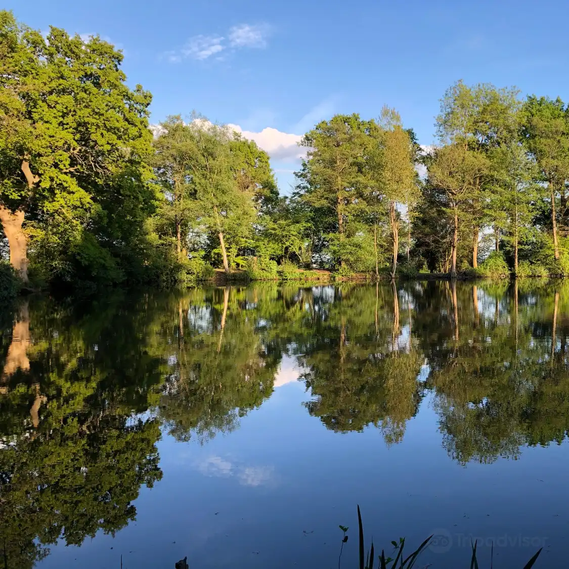 Hotels near Stanmore Country Park, London