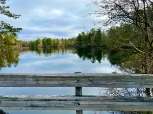 Belleplain State Forest