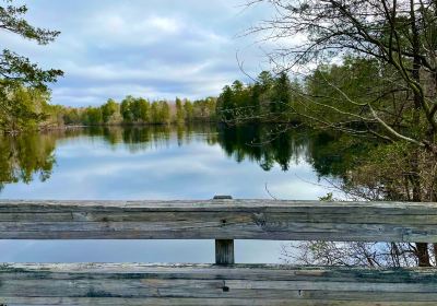 Belleplain State Forest