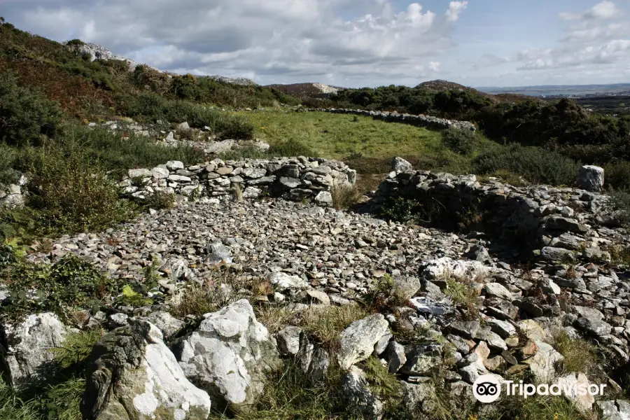 Holyhead mountain Hut Circles