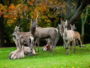 Zoopark Chomutov